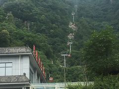 -牛背梁国家森林公园