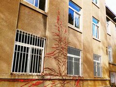 -大连理工大学(凌水校区)