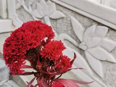 -秦岭风景区