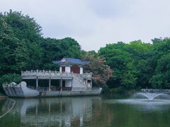 -金花茶公园