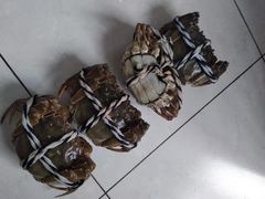 -小陆莲花蟹园农家乐(莲花岛店)