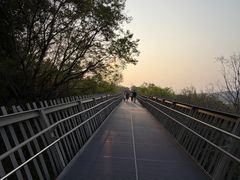-福道