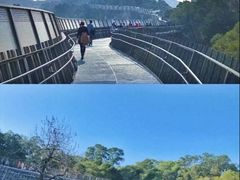 -福道