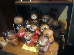 -猫咪博物馆(顶澳仔猫街店)