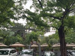 -丽泽山庄·生态怀柔菜·虹鳟鱼(红螺寺店)