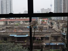 -成都博舍酒店