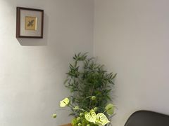 -乔曰Qiao Yue·茶咖局