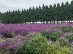 -嘉北郊野公园