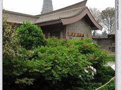 -法门文化景区