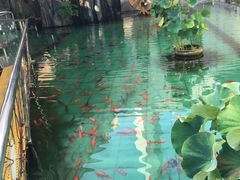 -陕西自然博物馆