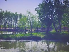 -东郊湿地公园