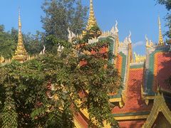 -西双版纳勐泐文化旅游区