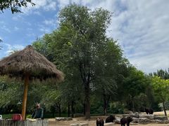 -北京野生动物园