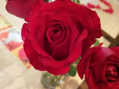 -必胜客(珠海路店)