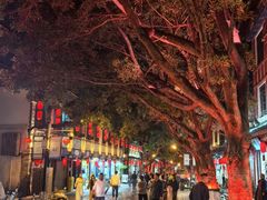 -广州都市观光巴士(粤陶巴)