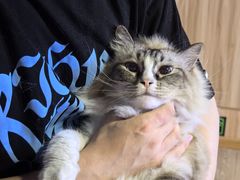 -白兔子密室(长寿路店)