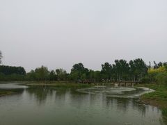 -东郊湿地公园