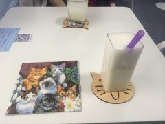 -喵的天空名猫咖啡馆·撸猫·猫舍·用品
