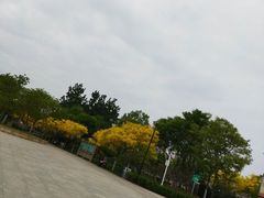 -南翠屏公园