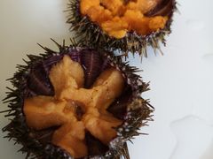 -海胆小馆(东北水饺·春柳店)