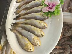 -梅子大排档