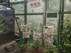 -上海大自然野生昆虫馆(东方明珠·爬宠昆虫探索中心)