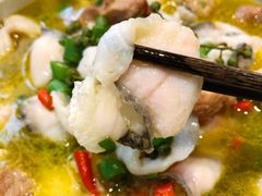 肥肠鱼-赵小姐丨新中餐(曲江店)
