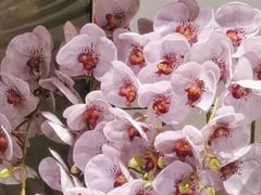 -金汤宴餐厅·粤菜(德云社店)