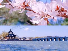 -颐和园