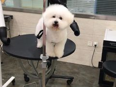 -暖阳宠物医院·犬猫康复中心·骨科