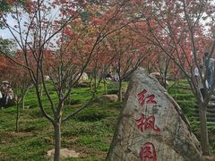 -广州市帽峰山景区