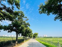 -汉长安城未央宫国家考古遗址公园