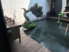 -觀芷隐轩