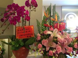 -海豚湾高端月子会所(黄浦店)