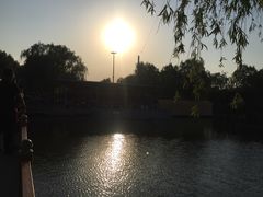 -白洋淀景区