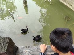 -虹迎轩·中餐厅(虹桥迎宾馆店)