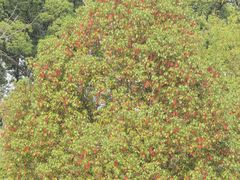 -白塘生态植物园