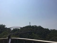 -金鸡山公园