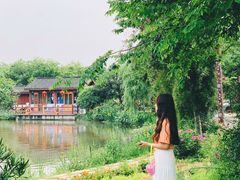 -鹅湖玫瑰文化园