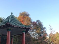 -广州市石门国家森林公园