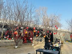 -春风习习
