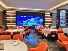 -香港狮子山下·明星粤菜餐厅(北苑店)