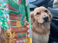 -它主义宠物(梁溪万达店)