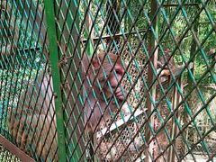 -藏龙百瀑风景区