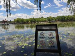 -长春市南湖公园
