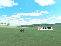 -塞罕坝国家级自然保护区