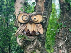 -云溪植物园
