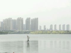 -天鹅湖体育公园