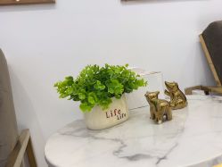 -MIVI野生眉纹绣纹眉