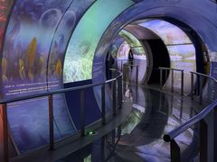 -房山世界地质公园博物馆